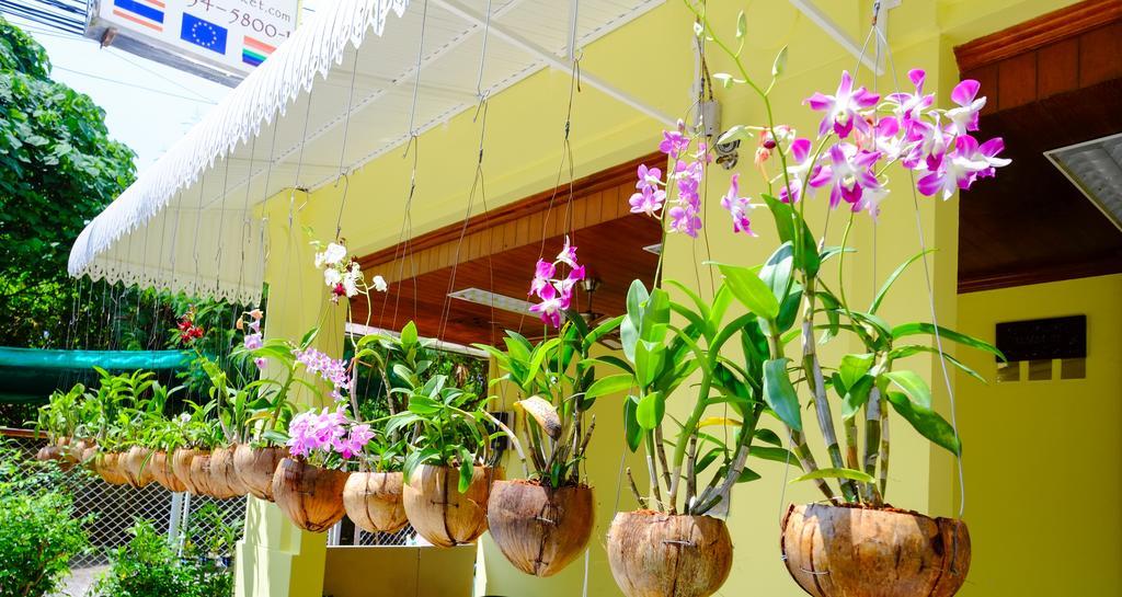 Adonis Guest House Patong Exterior foto